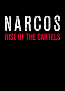 Narcos: Rise of the Cartels скачать торрент