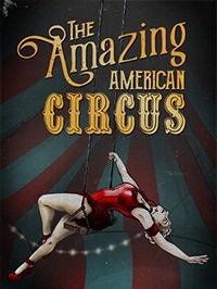 The Amazing American Circus скачать игру торрент
